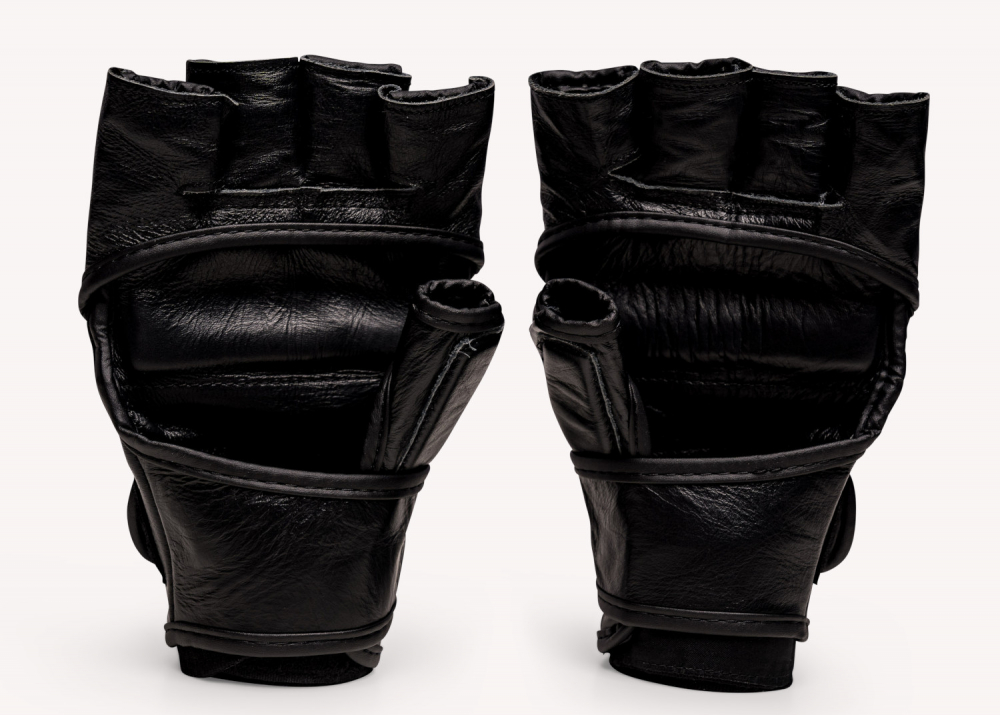 THE MATS - okami MMA fightgear ON Fight BORN Pro Gloves